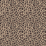 LEOPARD SPOTS