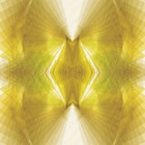 Motif créatif <span data-wg-notranslate>Gold Spectre</span> réalisé par nos soins spécialement pour customiser et sublimer votre prothèse tibiale, prothèse fémorale, prothèse bras, manchon, ou votre orthèse, corset, corset siège, cruro-pédieuse, releveur, prepreg.
