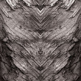 Motif <span data-wg-notranslate>Timber Bw</span> placé, adaptable aux dimensions exactes de votre prothèse tibiale, prothèse fémorale, prothèse bras et manchon, ou votre orthèse, corset, corset siège, cruro-pédieuse, releveur, prepreg.