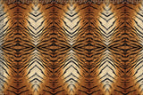 Motif créatif <span data-wg-notranslate>Tiger</span> réalisé par nos soins spécialement pour customiser et sublimer votre prothèse tibiale, prothèse fémorale, prothèse bras, manchon, ou votre orthèse, corset, corset siège, cruro-pédieuse, releveur, prepreg.