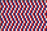 Motif créatif <span data-wg-notranslate>France</span> réalisé par nos soins spécialement pour customiser et sublimer votre prothèse tibiale, prothèse fémorale, prothèse bras, manchon, ou votre orthèse, corset, corset siège, cruro-pédieuse, releveur, prepreg.