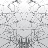 Motif créatif <span data-wg-notranslate>Spider</span> réalisé par nos soins spécialement pour customiser et sublimer votre prothèse tibiale, prothèse fémorale, prothèse bras, manchon, ou votre orthèse, corset, corset siège, cruro-pédieuse, releveur, prepreg.