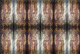 Motif créatif <span data-wg-notranslate>Brut</span> réalisé par nos soins spécialement pour customiser et sublimer votre prothèse tibiale, prothèse fémorale, prothèse bras, manchon, ou votre orthèse, corset, corset siège, cruro-pédieuse, releveur, prepreg.