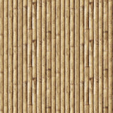Motif créatif <span data-wg-notranslate>Bamboo</span> réalisé par nos soins spécialement pour customiser et sublimer votre prothèse tibiale, prothèse fémorale, prothèse bras, manchon, ou votre orthèse, corset, corset siège, cruro-pédieuse, releveur, prepreg.