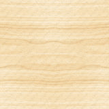 Motif créatif <span data-wg-notranslate>Bouleau</span> réalisé par nos soins spécialement pour customiser et sublimer votre prothèse tibiale, prothèse fémorale, prothèse bras, manchon, ou votre orthèse, corset, corset siège, cruro-pédieuse, releveur, prepreg.