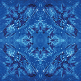 NEPTUNE HYDRA